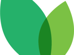 Brightmark Logo Icon